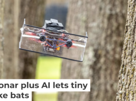 This small drone is using sonar, similar to bats’ echolocation, to navigate through a grove of trees. Nitin Sanket